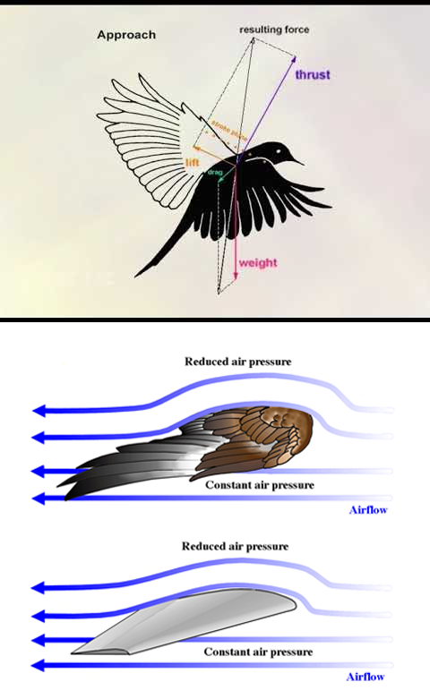 aerodynamics